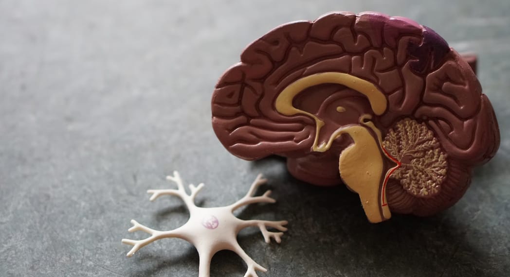 Bisa Berdampak pada Kinerja Otak, Simak Bahaya Begadang bagi Kecerdasan Manusia