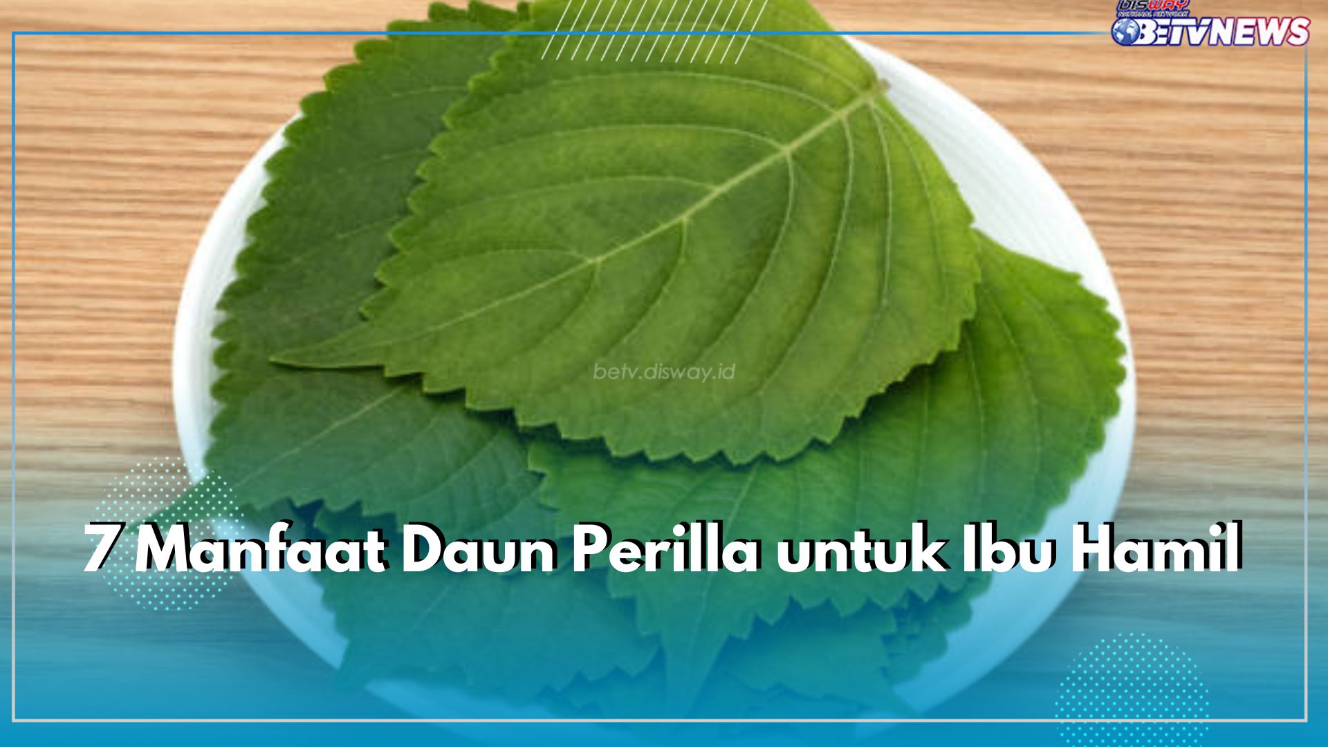 7 Manfaat Daun Perilla untuk Ibu Hamil, Baik bagi Tumbuh dan Kembang Janin dalam Kandungan