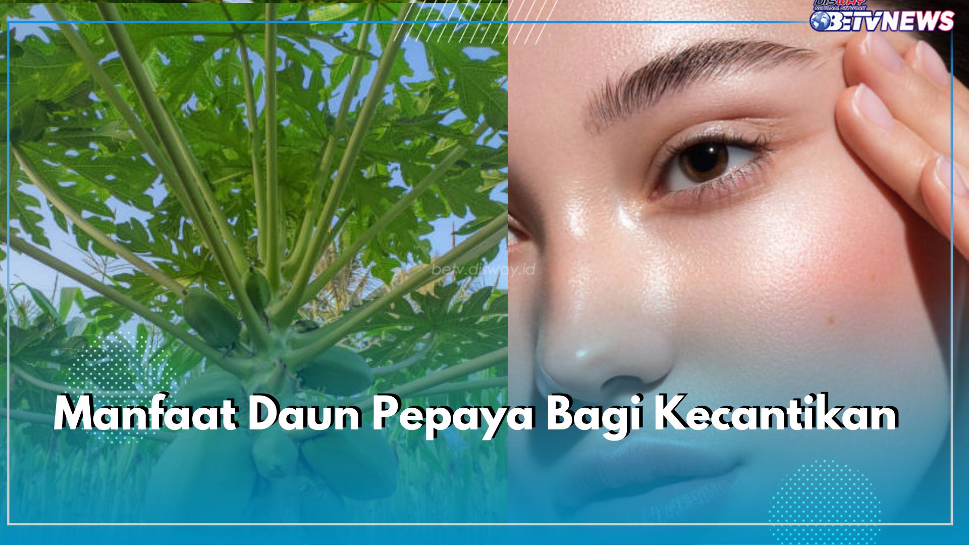 Mengulik 7 Manfaat Tersembunyi Daun Pepaya untuk Kecantikan, Salah Satunya Mengurangi Tanda Penuaan