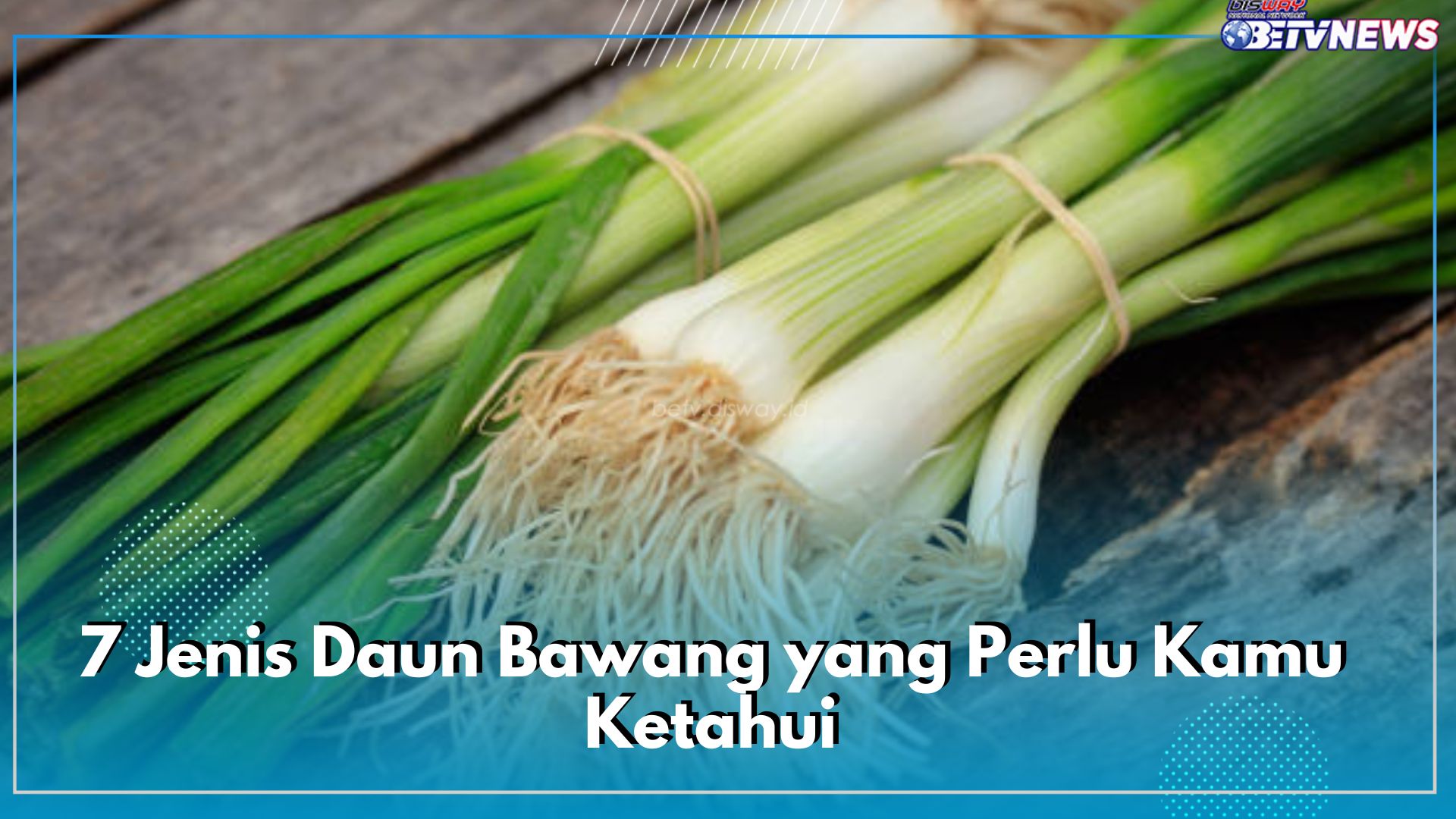 Tidak Hanya Bawang Lokal, Ada 7 Jenis Daun Bawang yang Perlu Kamu Ketahui, Setiap Varietas Beda Bentuknya