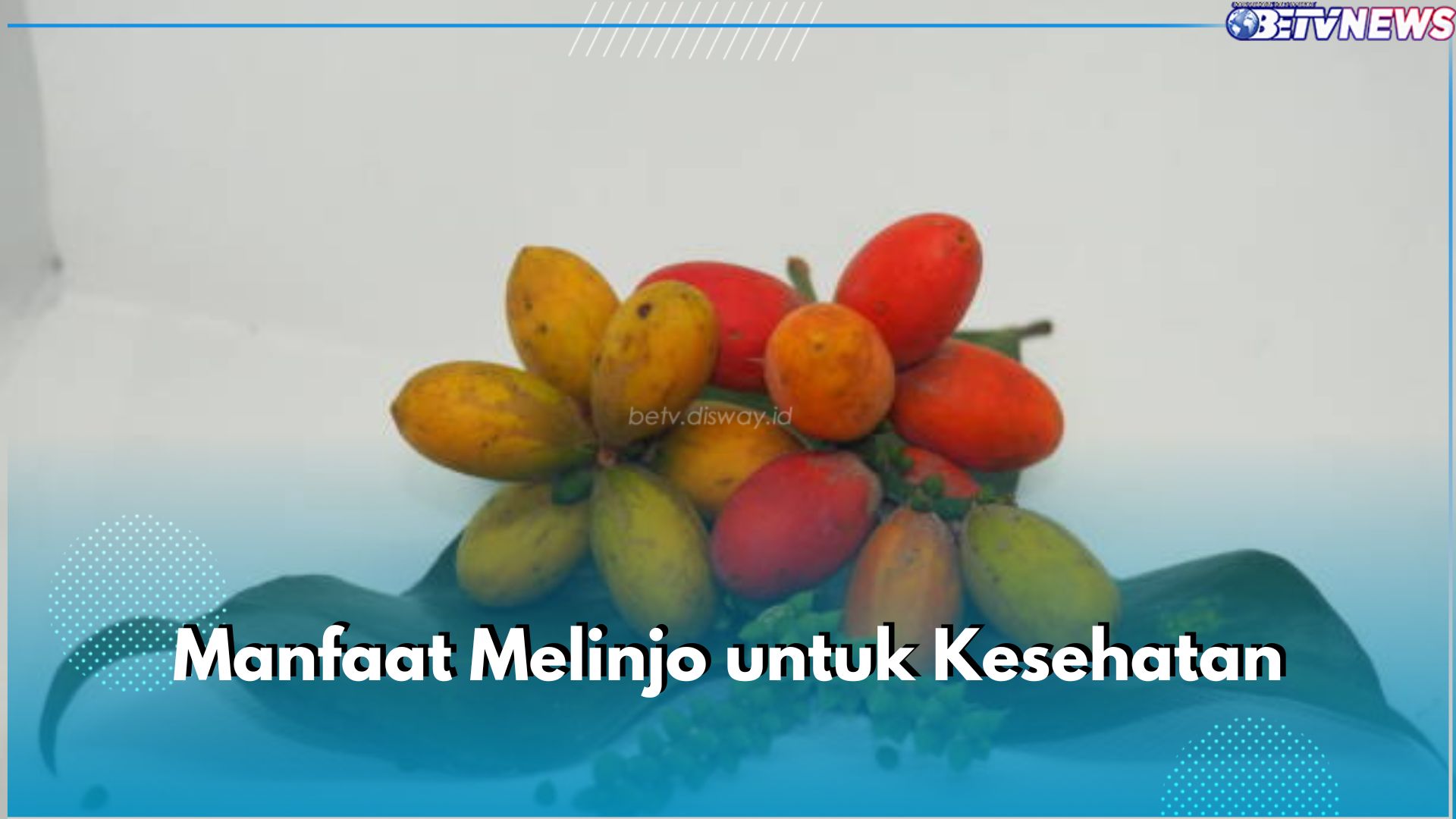 Jarang Diketahui, Ini 5 Manfaat Melinjo untuk Kesehatan Tubuh