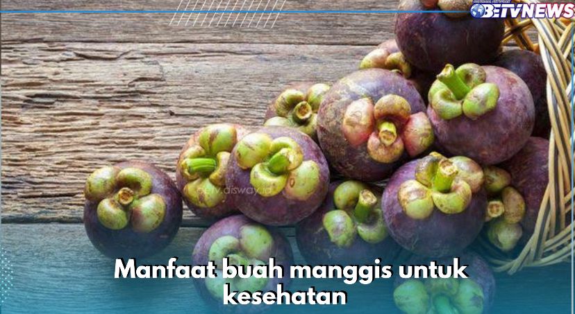 Cegah Kanker dan Sakit Jantung, Ini 9 Manfaat Buah Manggis untuk Kesehatan yang Harus Diketahui