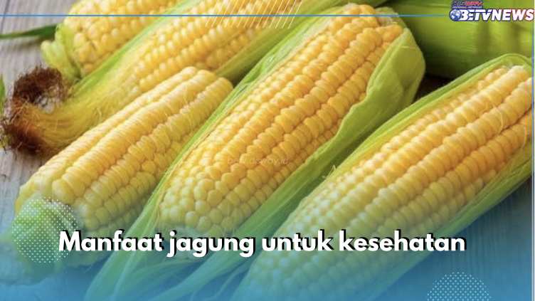 7 Manfaat Jagung untuk Tubuh, Cakap Lindungi Kesehatan Jantung Salah satunya