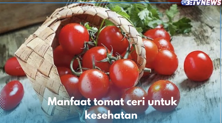 Baik Bagi Penderita Kolesterol, Ini 10 Manfaat Tomat Ceri untuk Kesehatan yang Sayang Dilewatkan