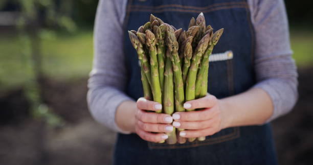 Selain Gangguan Pencernaan, Ini 7 Efek Samping Asparagus bagi Kesehatan Tubuh