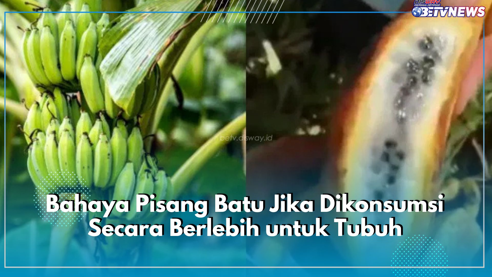 Kenali 5 Bahaya Pisang Batu Jika Dikonsumsi Secara Berlebih untuk Tubuh