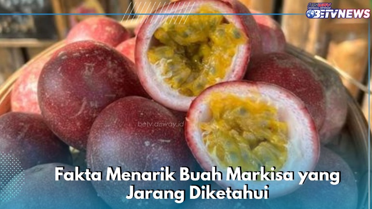 Buah Markisa Kaya Nutrisi, Cek Fakta Menarik Lainnya di Sini, Kamu Perlu Tahu