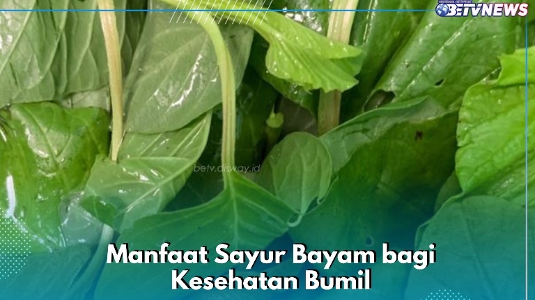 Manfaat Sayur Bayam Sehari-hari, Ampuh Meningkatkan Mood Ibu Hamil