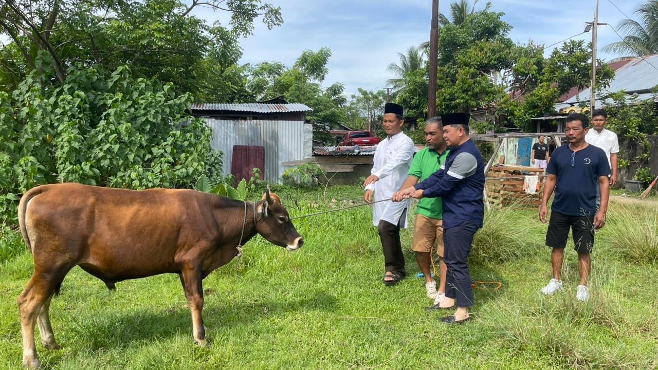 Perkuat Silaturahmi Iduladha 1447 H, Polresta Bengkulu Sebar 3 Sapi Kurban untuk Ormas dan Nelayan