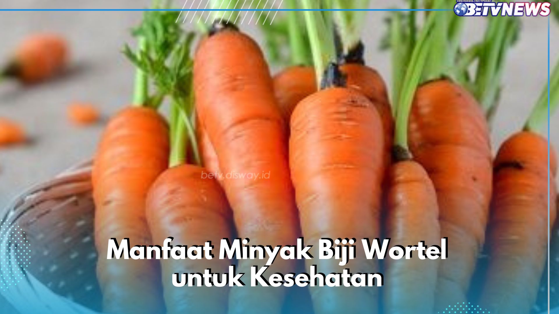 Minyak Biji Wortel Ini Dapat Mengurangi Risiko Terkena Sinar Matahari, Cek Manfaat Lainnya di Sini