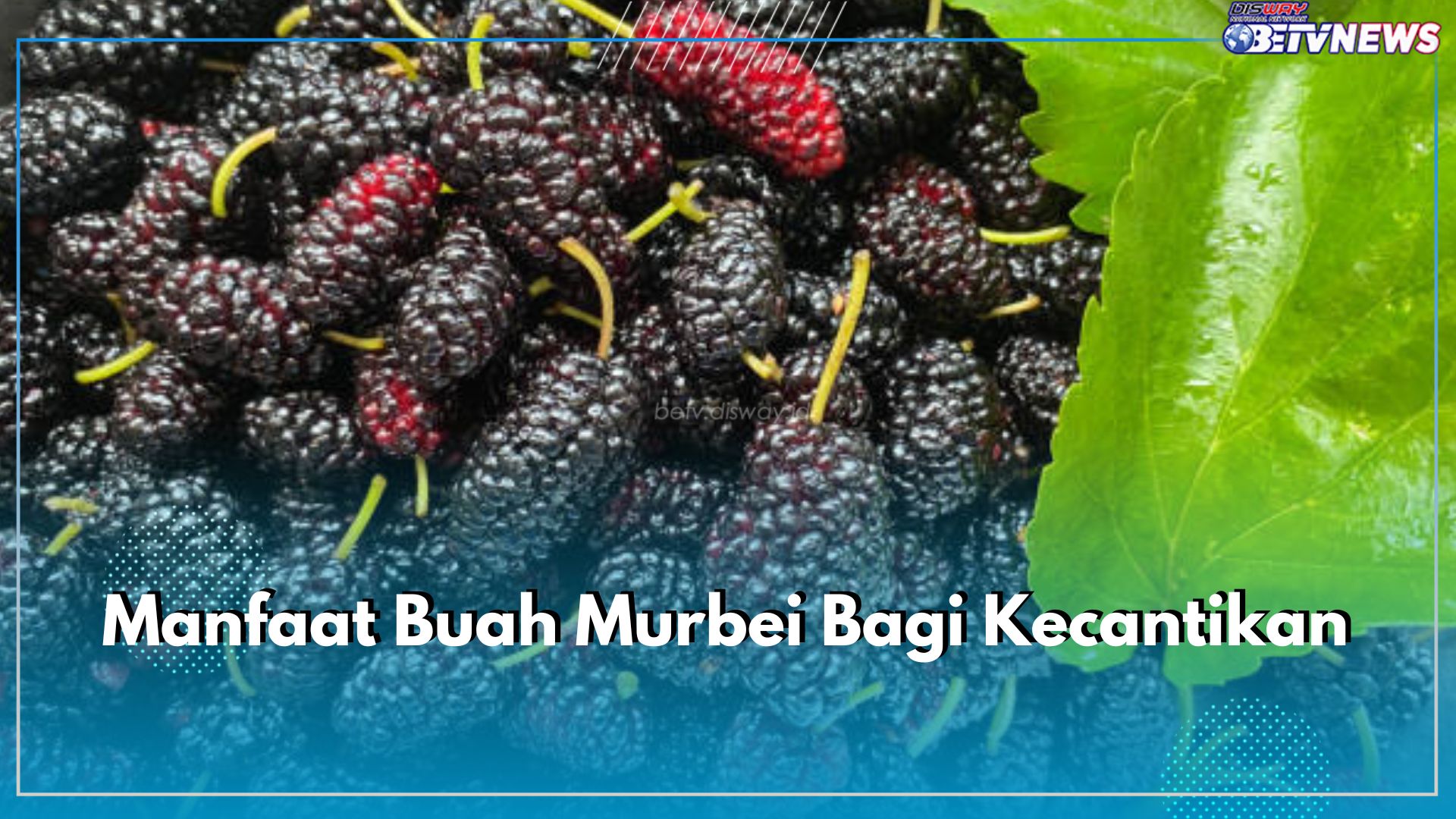 Manfaat Buah Murbei Bagi Kecantikan, Ampuh Mencerahkan dan Mengatasi Penuaan Dini