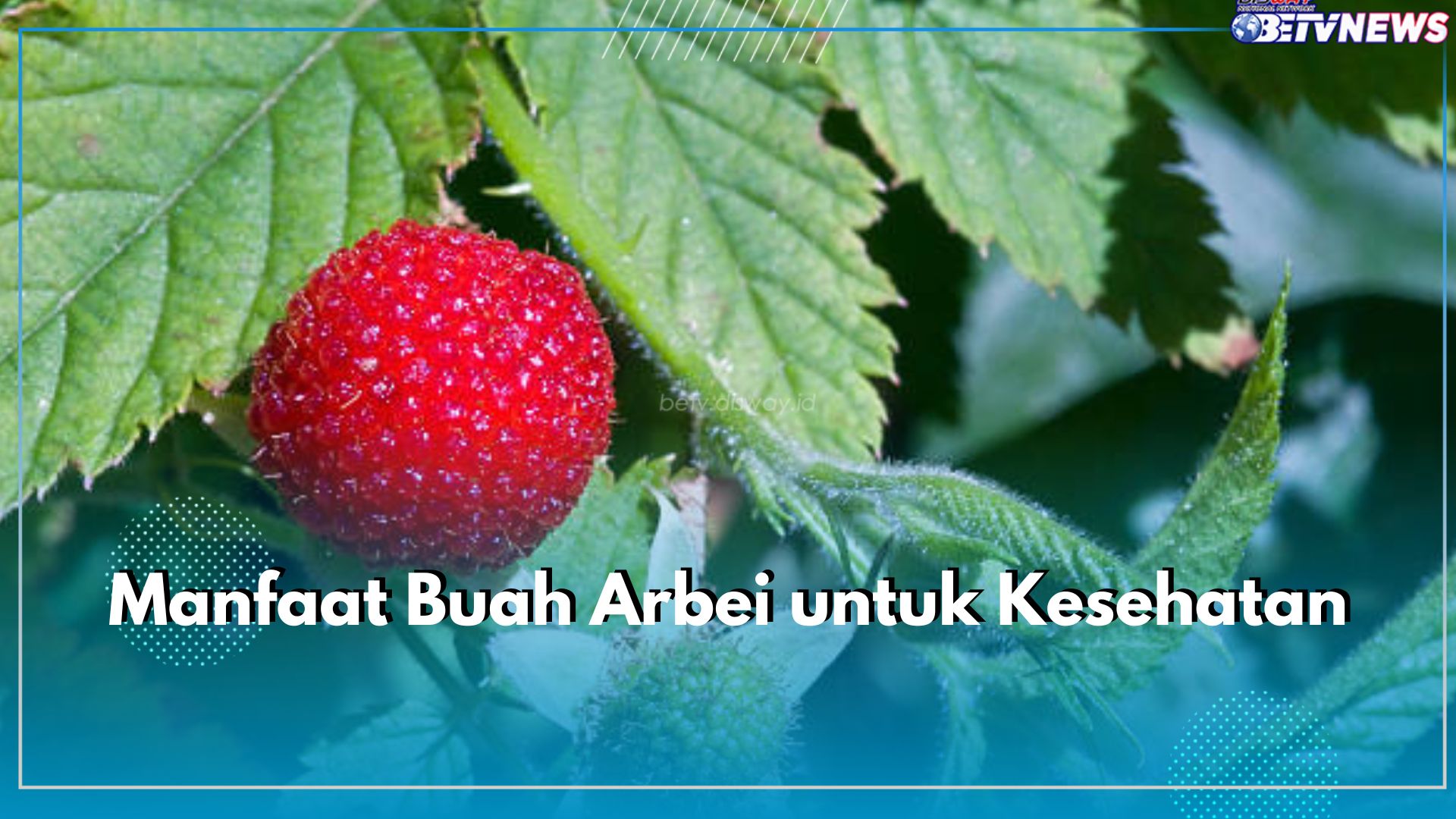 5 Manfaat Buah Arbei untuk Kesehatan yang Perlu Kamu Ketahui, Bisa Jaga Berat Badan