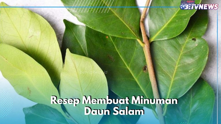 Cek di Sini! Resep Minuman Daun Salam, Baik untuk Kesehatan