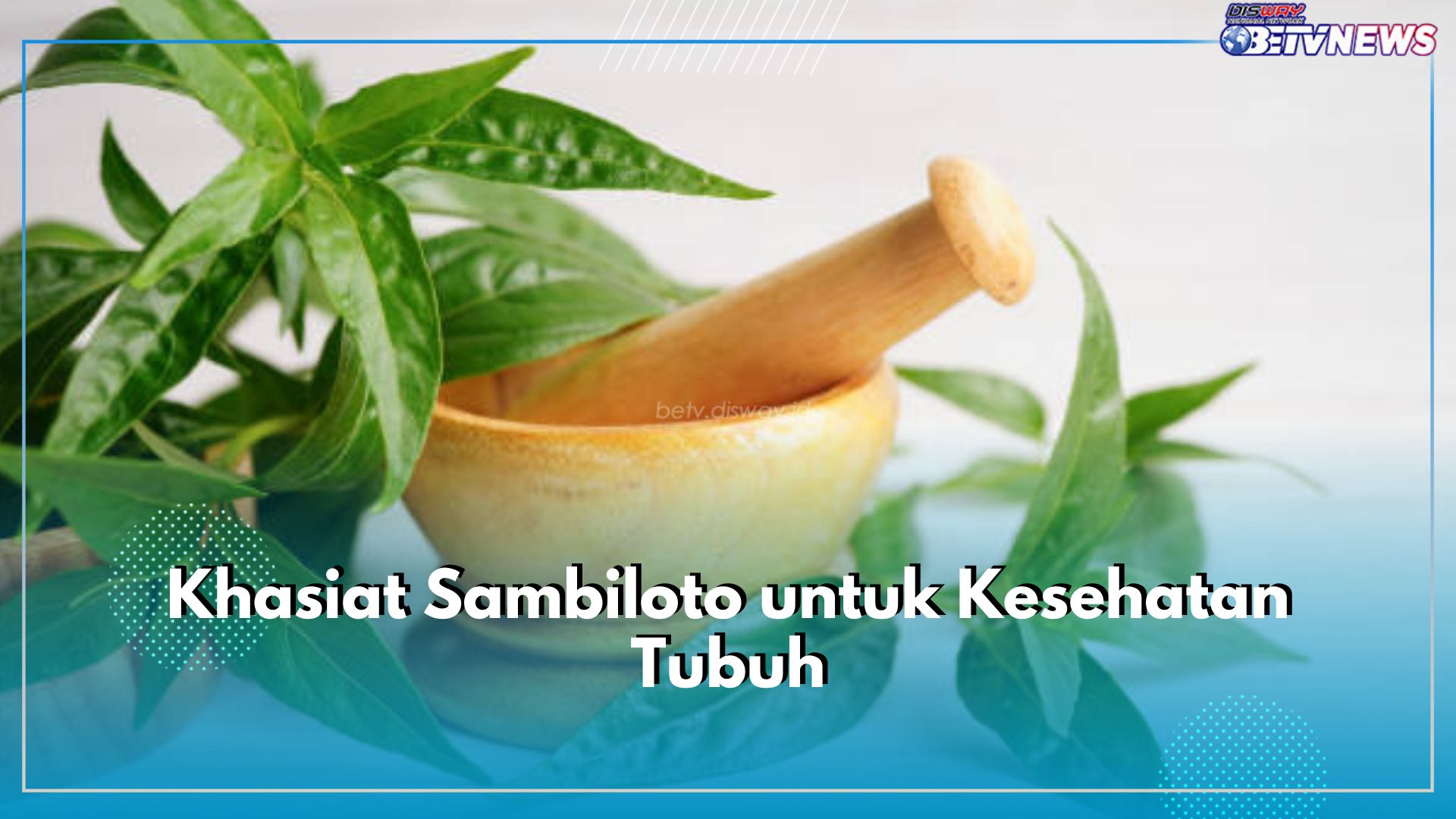 Dikenal Pahit, Ini 6 Khasiat Sambiloto untuk Kesehatan Tubuh