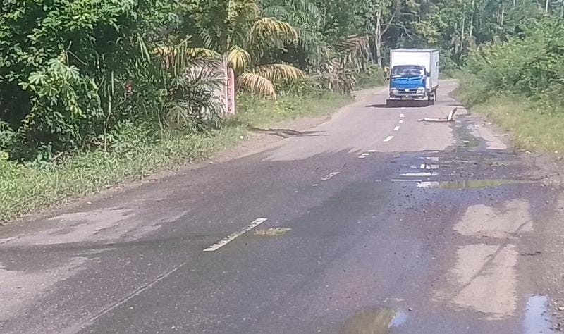 Pengendara Diminta Waspada, Jalan Lintas Barat di Seluma Dipenuhi Lubang Besar