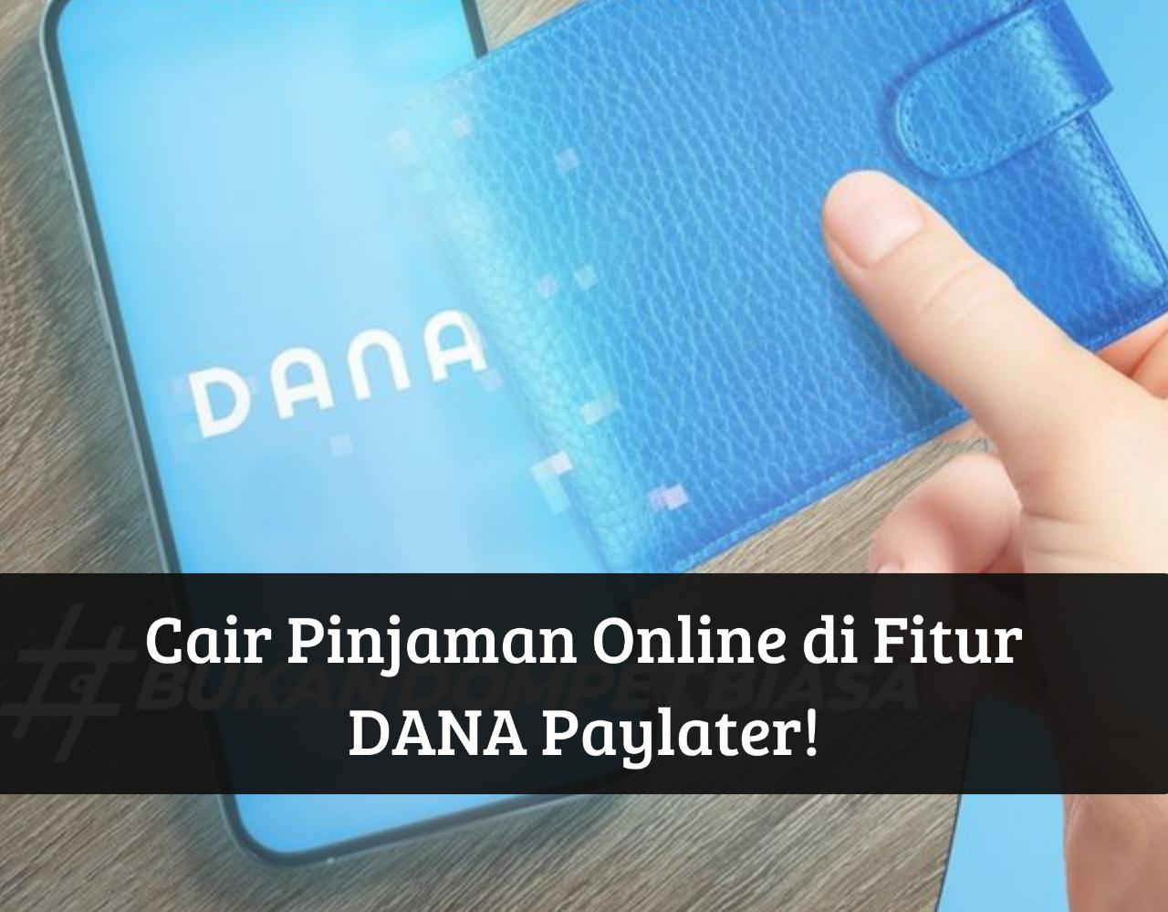 Langsung Cair Pinjaman Online ke Dompet Digital, Ambil Uang di DANA Paylater Rp10 Juta Syarat Cukup Pakai KTP