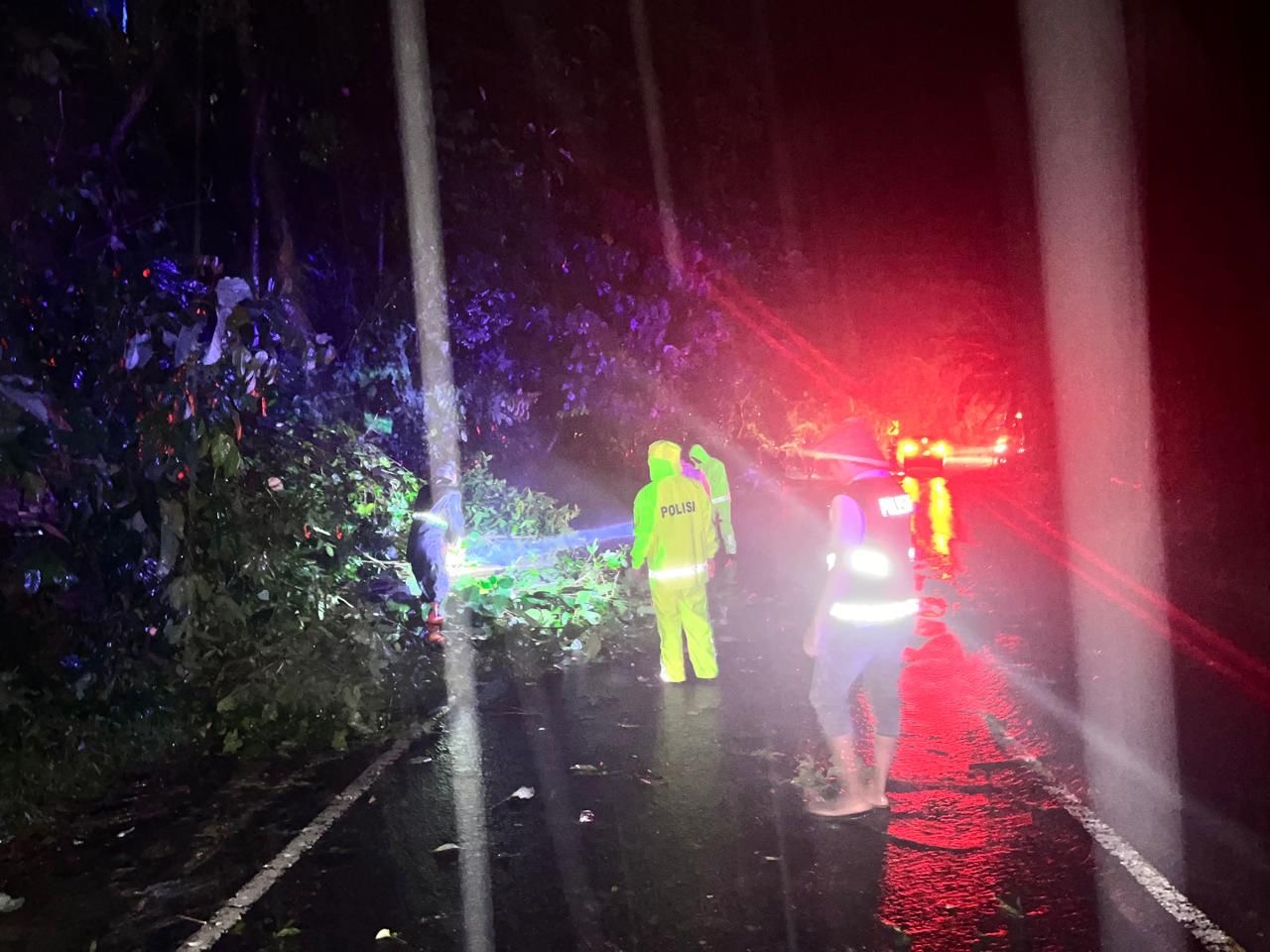 Tanah Longsor-Pohon Tumbang di Kawasan Gunung Liku Sembilan Tutupi Setengah Badan Jalan