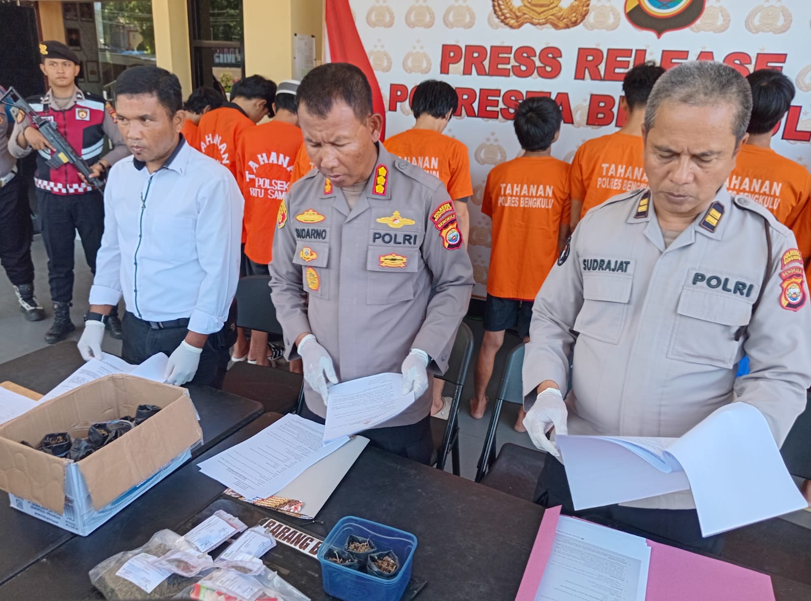 Tanam dan Jual Ganja, 4 Pemuda di Bengkulu Diringkus Polisi 