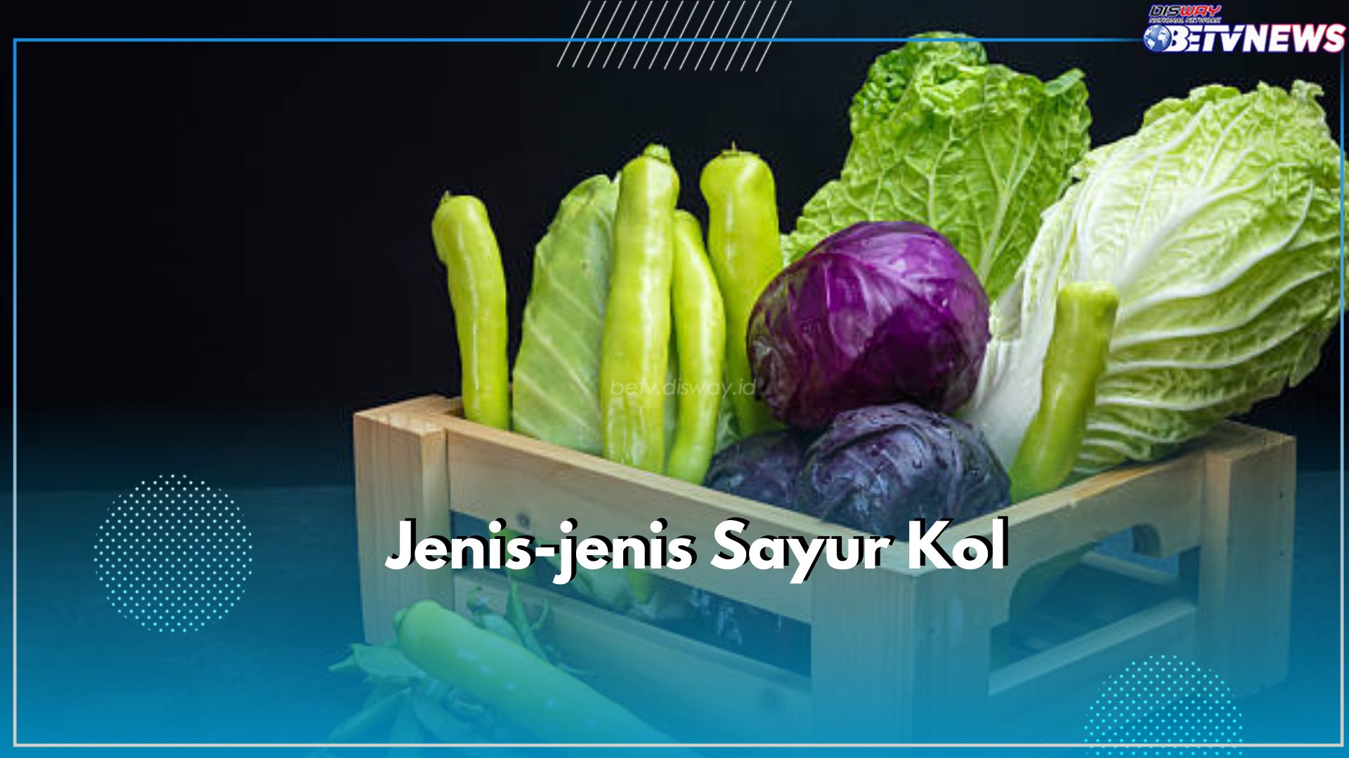 Pahami Sebelum Memasak, Kenali 5 Jenis Sayur Kol yang Berbeda, Apa Saja? Cek Disini!
