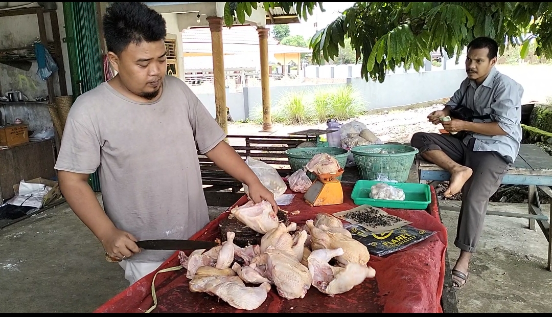 Harga Daging Ayam Potong di Seluma Berangsur Normal