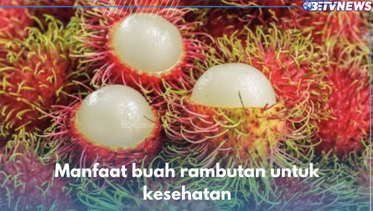 Buah Tropis Pelancar Sistem Cernah, Ini 6 Manfaat Rambutan untuk Kesehatan