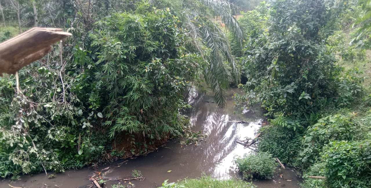 DLH Seluma Dukung Pengusutan Kasus Dugaan Pencemaran Limbah PT AIP di Sungai Gasan