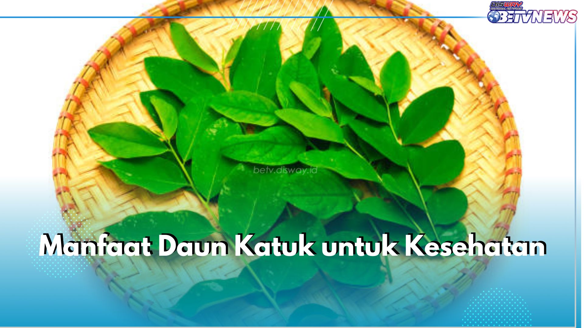 Dikenal Mampu Tingkatkan Produksi ASI, Ini 6 Manfaat Lain Daun Katuk untuk Kesehatan