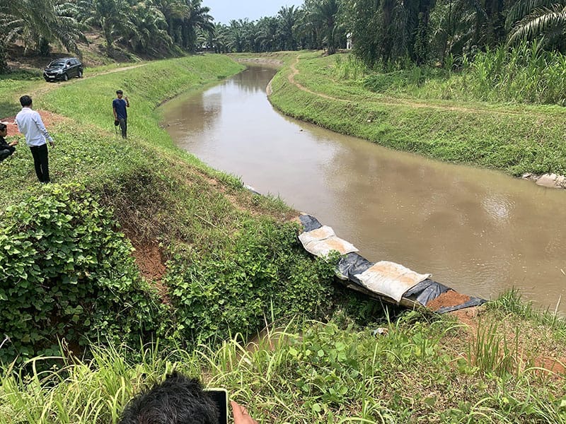 Pengeringan Irigasi Bendungan Seluma Dimulai Agustus, Petani Diimbau Beralih Tanam Jagung