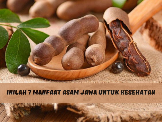 Bersifat Anti-inflamasi dan Anti Bakteri, Inilah 7 Manfaat Asam Jawa untuk Kesehatan