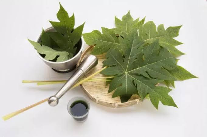 Mengurangi Tanda Penuaan Secara Alami, Dapatkan Ragam Manfaat Lain Daun Pepaya buat Kecantikan