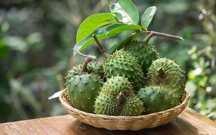 Suka Makan Buah Sirsak? Yuk,  Cek Manfaatnya untuk Kesehatan Tubuh 