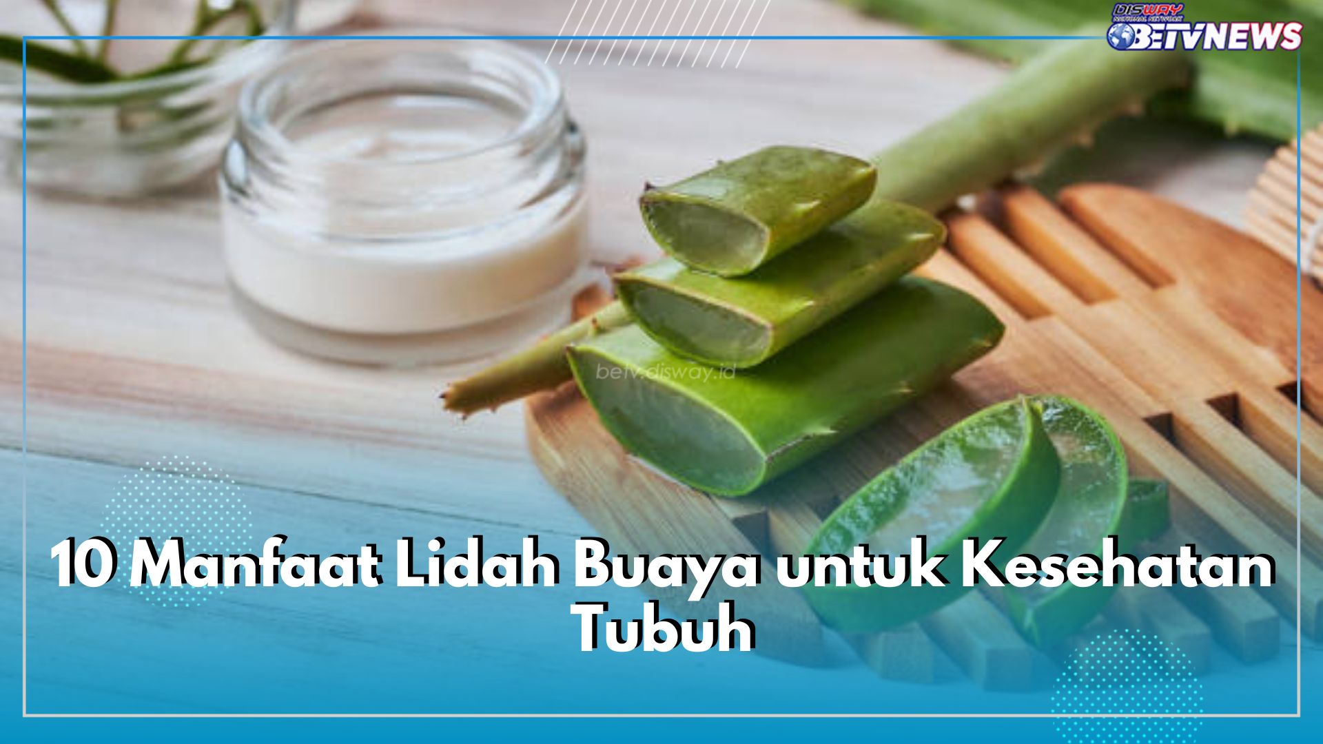 Tidak Hanya Mengatasi Masalah Kulit, Ini Dia 10 Manfaat Lidah Buaya untuk Kesehatan Tubuh