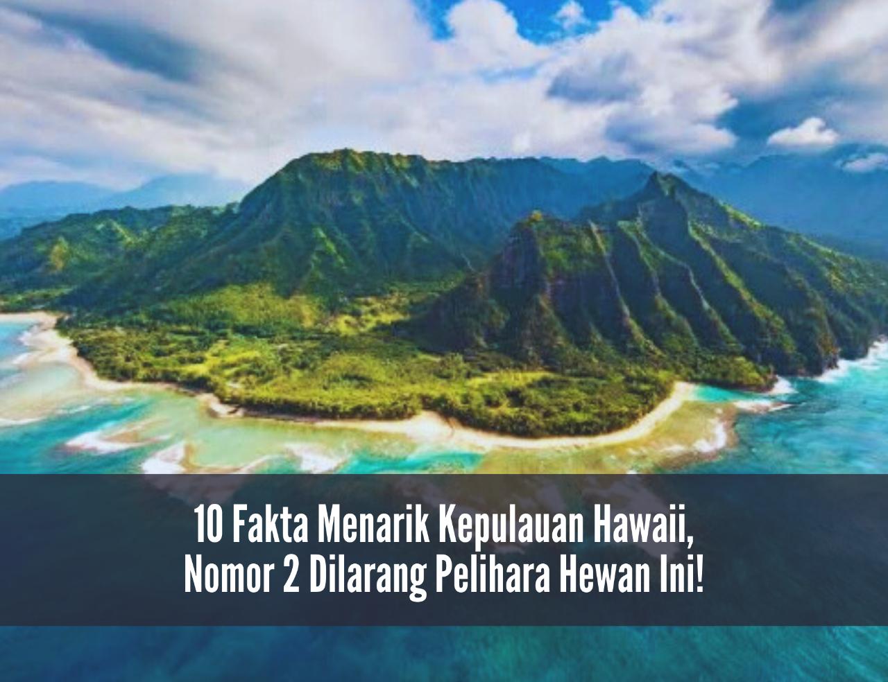 10 Fakta Menarik Kepulauan Hawaii, Nomor 2 Dilarang Pelihara Hewan Ini!