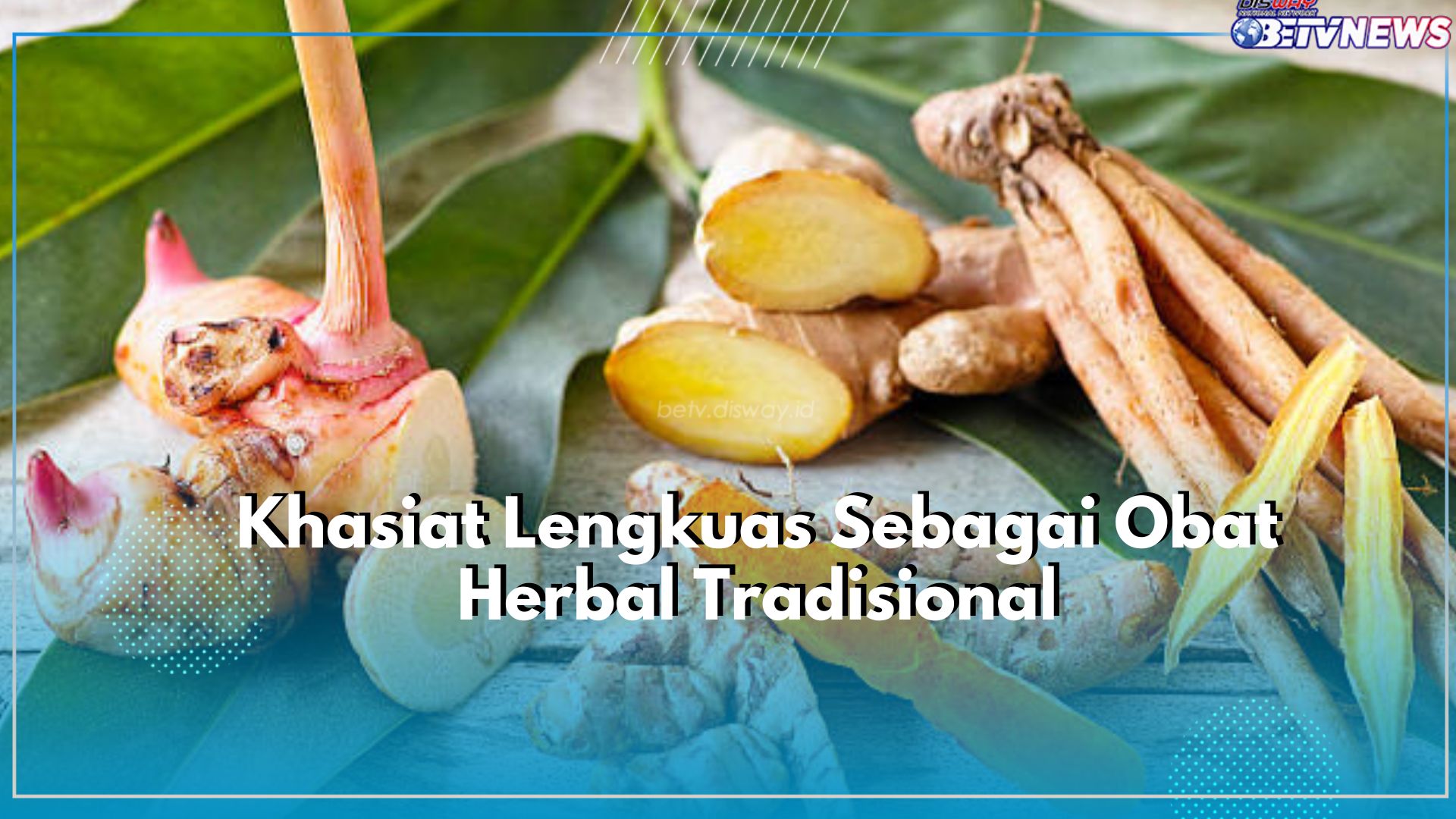Dapat Dijadikan Obat Herbal Tradisional, Inilah Khasiat yang Ditawarkan Tanaman Lengkuas