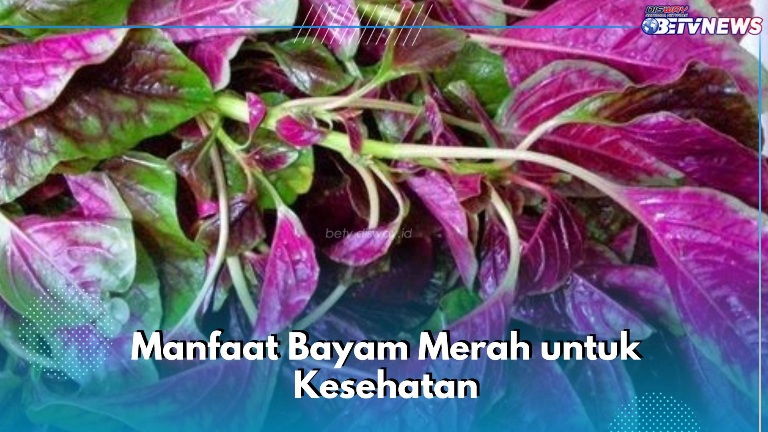 6 Manfaat Bayam Merah yang Sayang Dilewatkan, Ampuh Mengurangi Risiko Terkena Asma