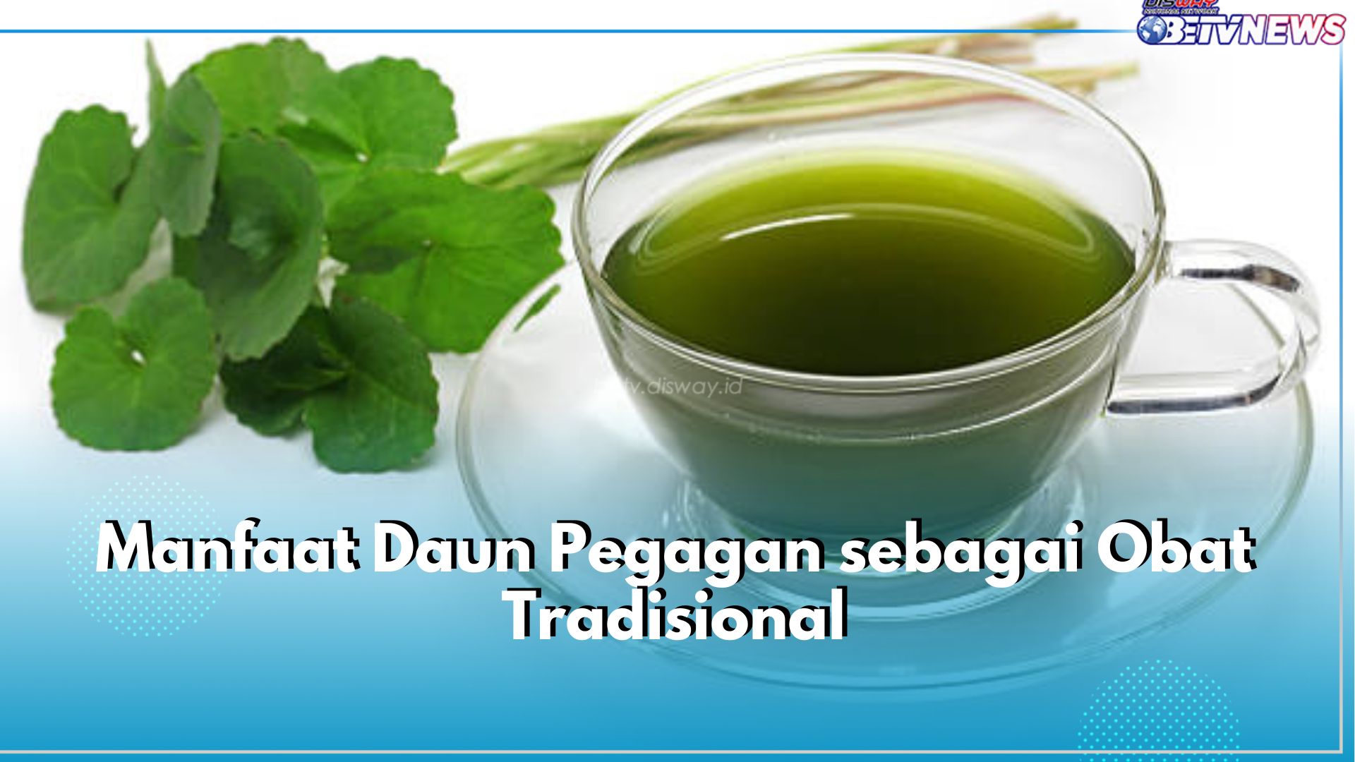 Intip Sederet Manfaat Daun Pegagan sebagai Obat Herbal, Bisa Bantu  Sembuhkan Luka