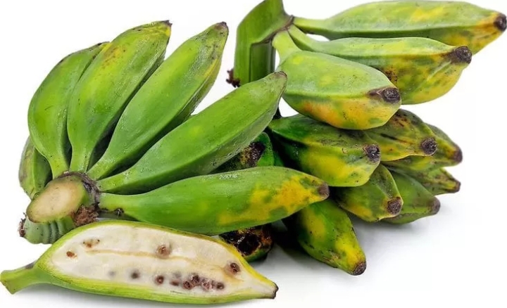 Pisang Batu Miliki Ragam Jenis dengan Karakteristiknya Masing-masing, Cek Disini!