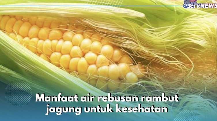 7 Manfaat Air Rebusan Rambut Jagung untuk Kesehatan, Nomor 3 Belum Banyak yang Tahu, Cek Sekarang