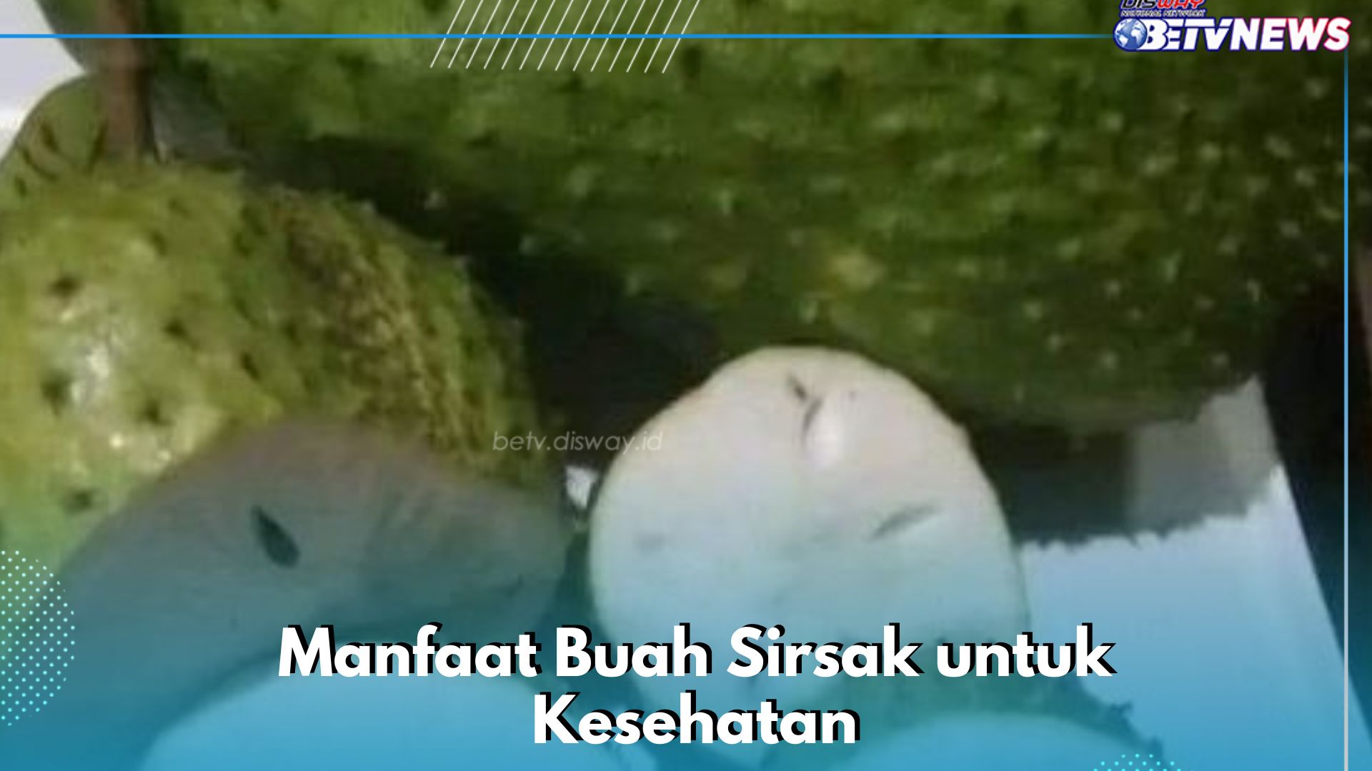 Cukup Konsumsi Buah Sirsak Ini, Ampuh Meningkatkan Sistem Imun, Cek Manfaat Lainnya