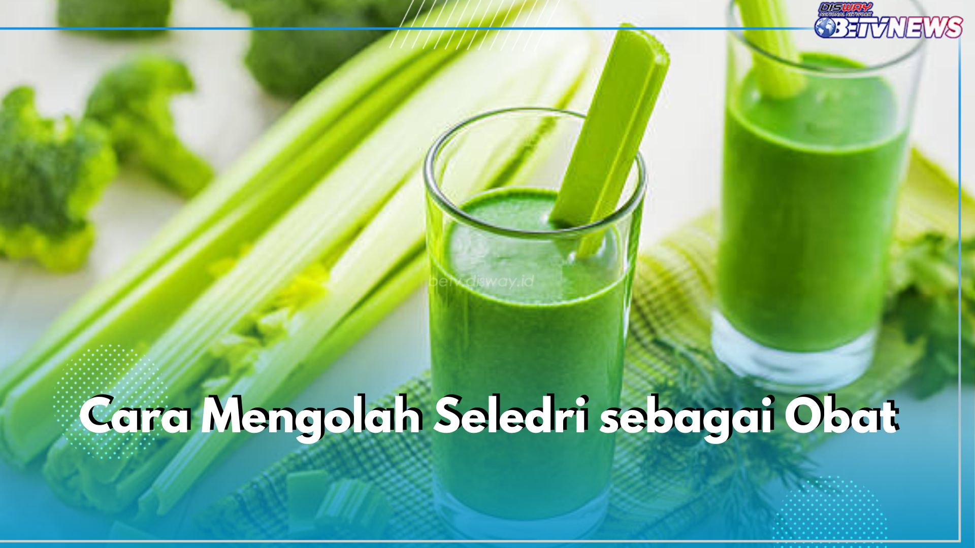 Bingung Cara Olah Seledri Jadi Obat Tradisional? Coba 6 Cara Mudah Ini, Salah Satunya Jadi Jus!