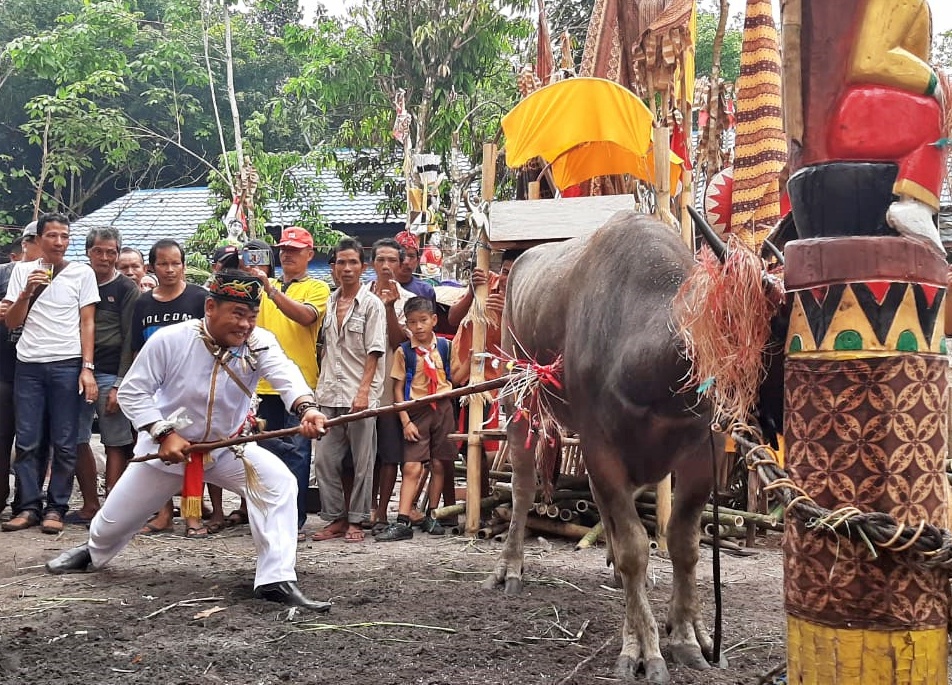 Mengenal Tradisi Ritual Tiwah, Upacara Mengantarkan Arwah, Cara Suku Dayak Ngaju Menghargai Kematian 