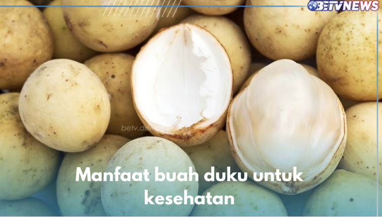 Buah Ajaib Obati Malaria, Ini 6 Manfaat Duku untuk Kesehatan