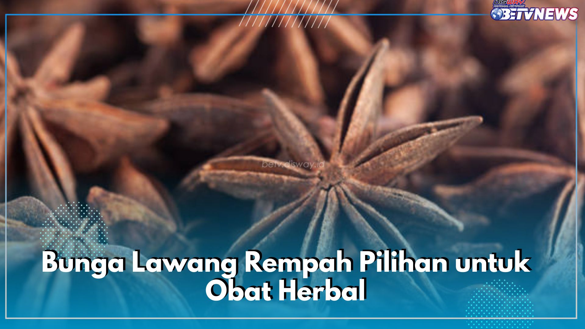 Sebagai Rempah Masakan, Bunga Lawang Biasa Digunakan untuk Obat Herbal, Klaim 6 Manfaatnya Buat Tubuh