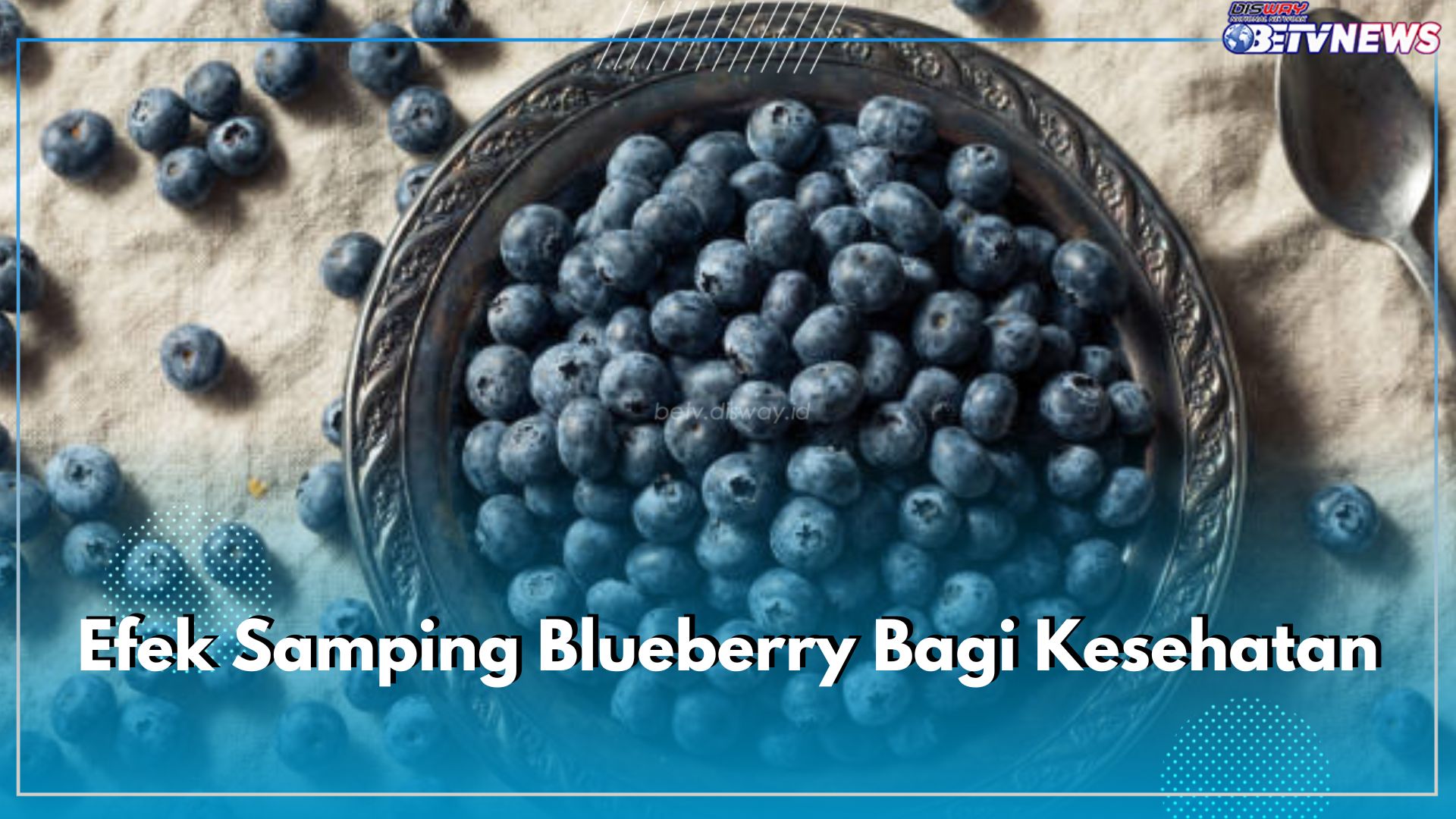 Blueberry Punya Efek Samping Jika Dikonsumsi Berlebih, Cek di Sini 5 Dampak Buruknya