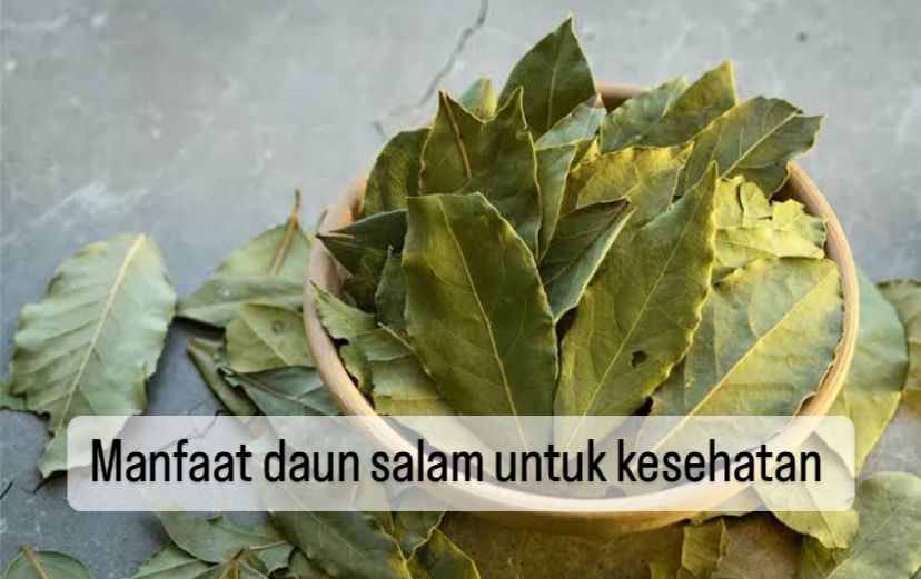 Cegah Serangan Jantung hingga Atasi Kulit Kering, Ini 10 Manfaat Daun Salam untuk Kesehatan