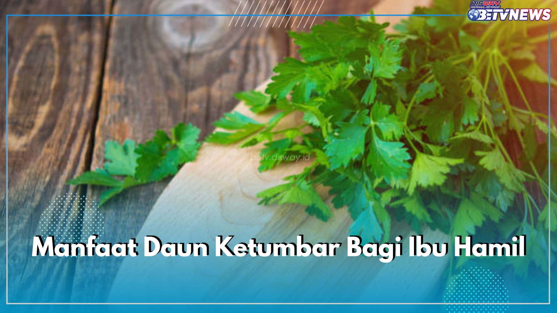 7 Manfaat Mengonsumsi Daun Ketumbar Bagi Ibu Hamil, Mampu Mengurangi Risiko Anemia Selama Masa Kehamilan