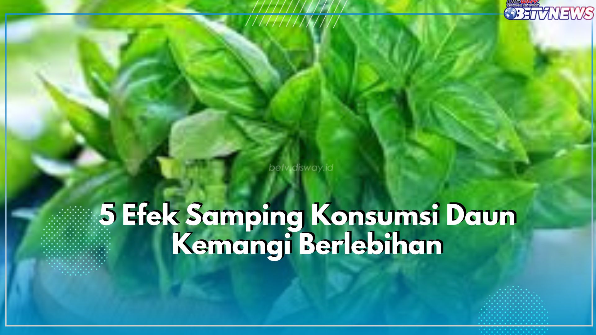 Efek Samping Konsumsi Daun Kemangi Berlebihan, Wajib Hindari Ini Berbahaya untuk Kesehatan