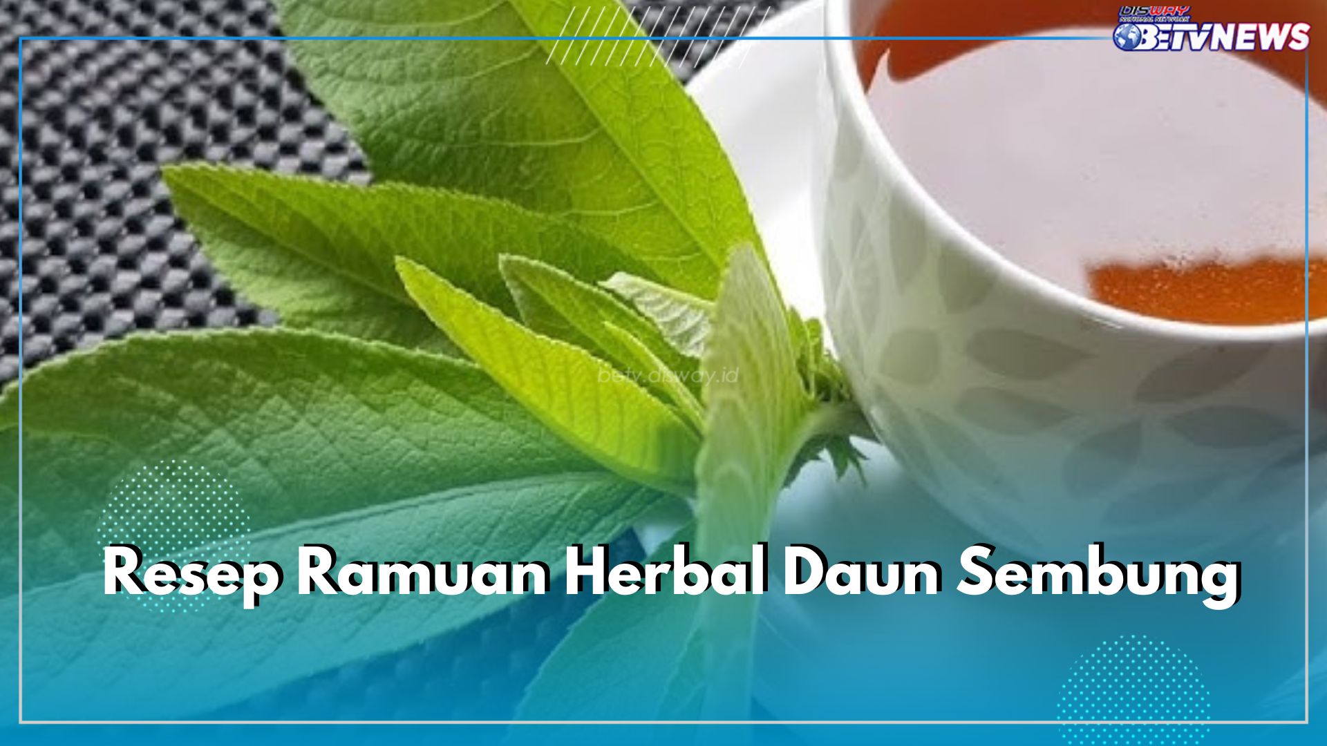 5 Resep Ramuan Herbal Daun Sembung, Tiap Resep Beda Kegunaan, Lho! Yuk Buat Sekarang