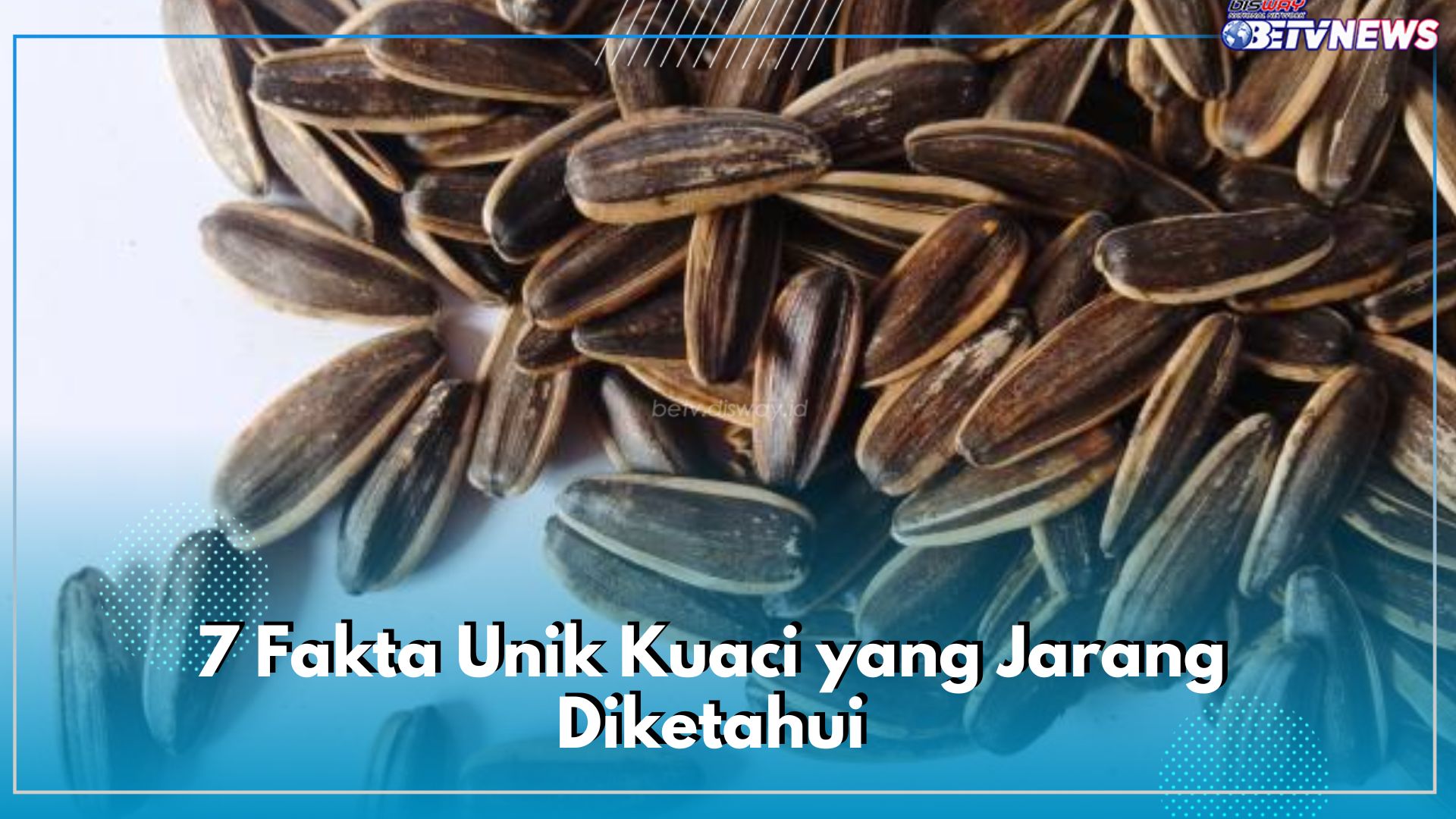 7 Fakta Unik Kuaci yang Jarang Diketahui, Dianggap Jadi Simbol Kebahagiaan