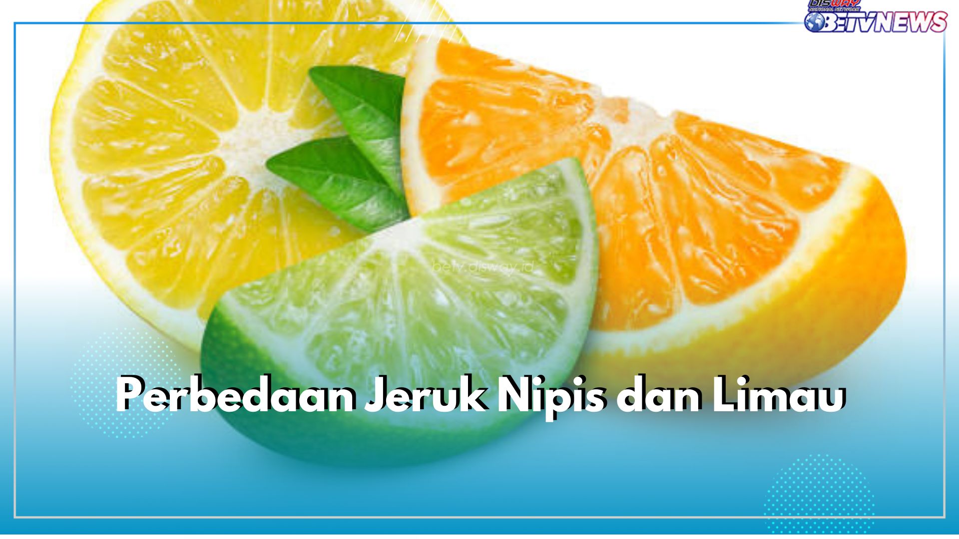 Terlihat Mirip, Ternyata Ini 5 Perbedaan Jeruk Nipis Dan Limau yang Perlu Kamu Ketahui